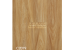 images/products/2021/08/17/original/c2079_1629195400.png